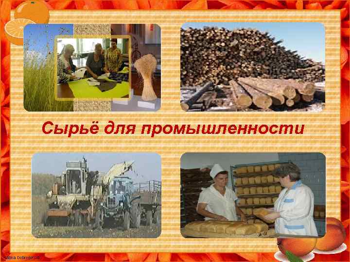 Сырьё для промышленности 