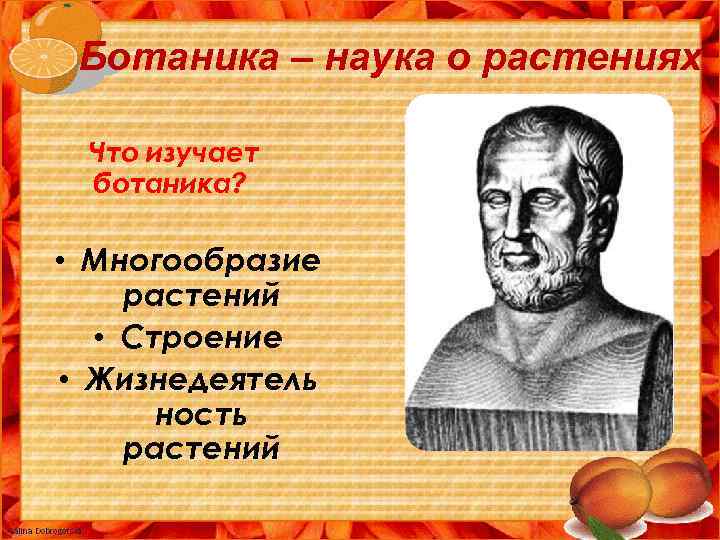 Ботаника – наука о растениях Что изучает ботаника? • Многообразие растений • Строение •