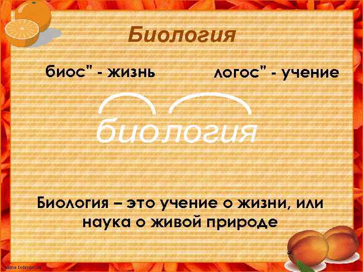 Биология биос" - жизнь логос" - учение Биология – это учение о жизни, или