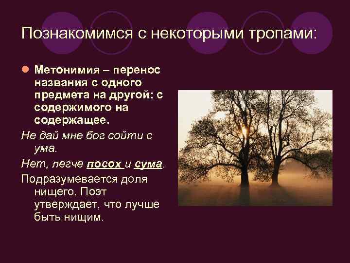 Познакомимся с некоторыми тропами: l Метонимия – перенос названия с одного предмета на другой: