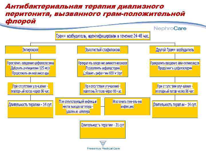 Антибактериальная терапия диализного перитонита, вызванного грам-положительной флорой 