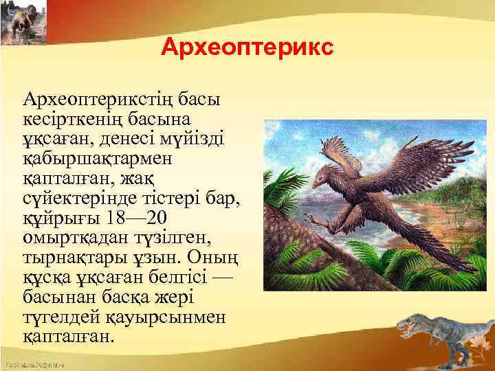 Археоптерикстің басы кесірткенің басына ұқсаған, денесі мүйізді қабыршақтармен қапталған, жақ сүйектерінде тістері бар, құйрығы