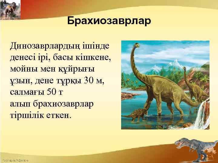 Брахиозаврлар Динозаврлардың ішінде денесі ірі, басы кішкене, мойны мен құйрығы ұзын, дене тұрқы 30