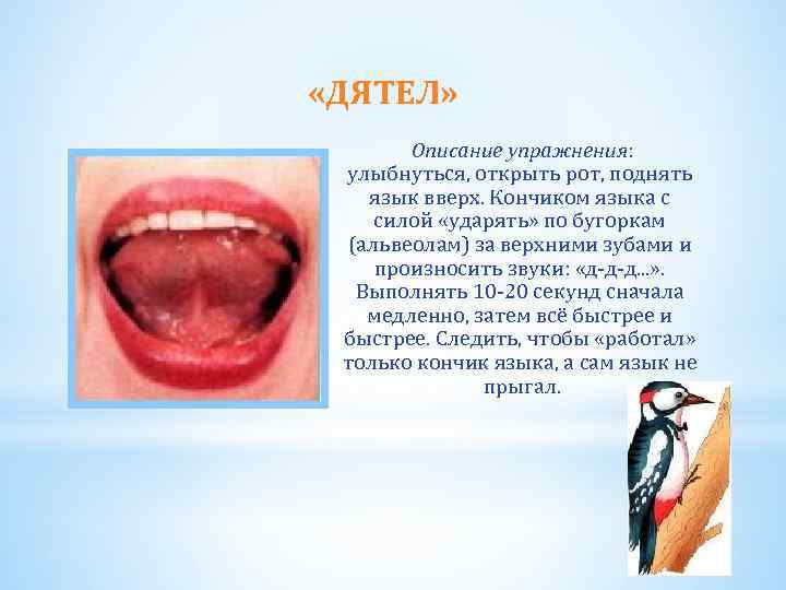 «ДЯТЕЛ» Описание упражнения: улыбнуться, открыть рот, поднять язык вверх. Кончиком языка с силой