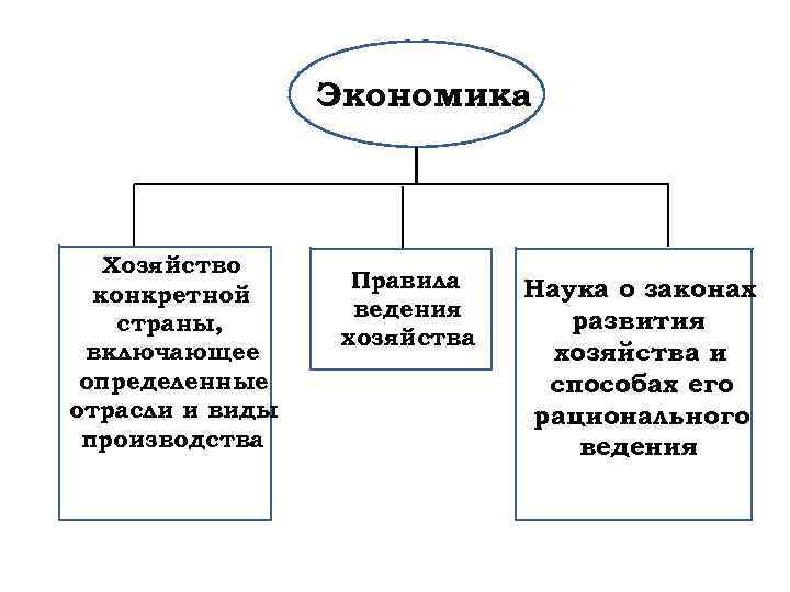 Как называется экономика