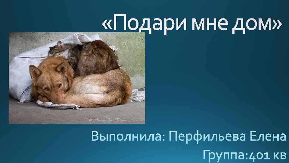  «Подари мне дом» 