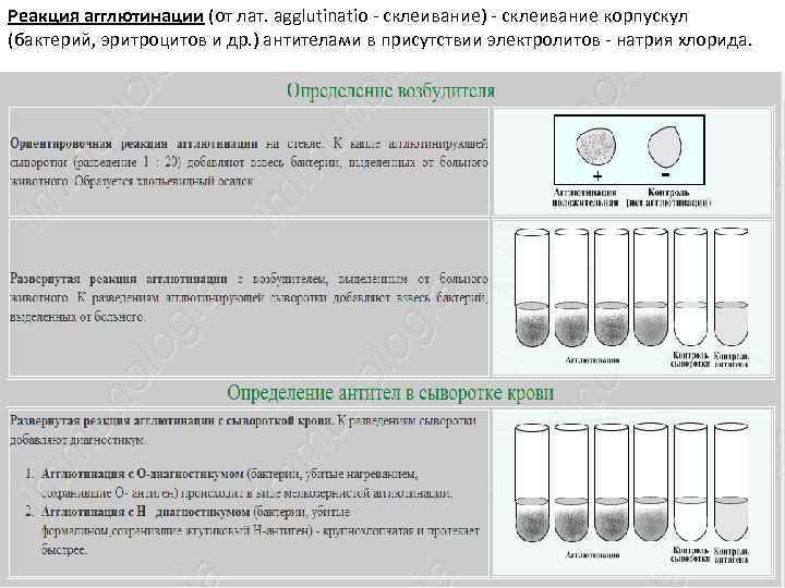 Реакция видаля схема