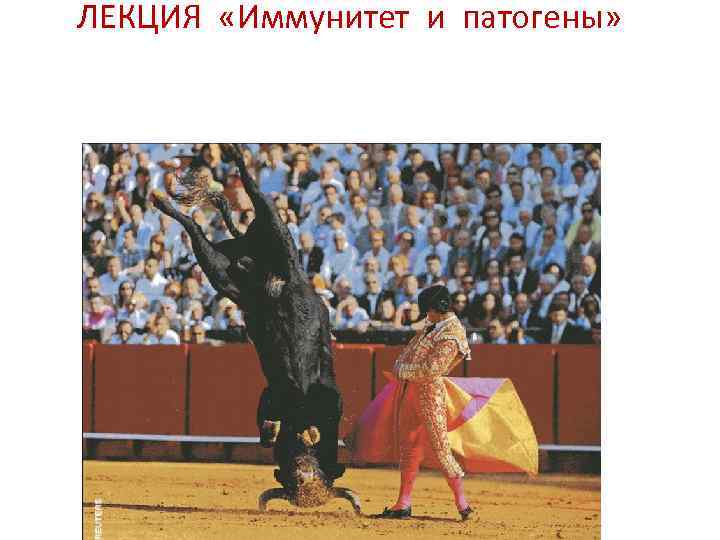 ЛЕКЦИЯ «Иммунитет и патогены» 