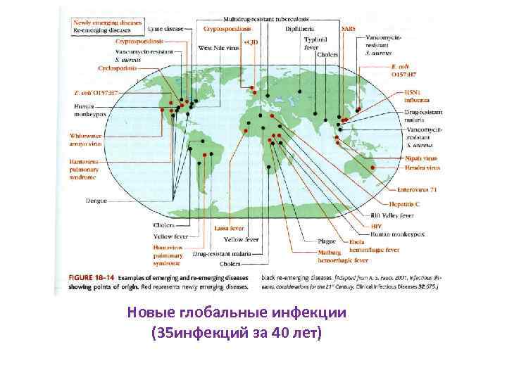 Новые глобальные инфекции (35 инфекций за 40 лет) 