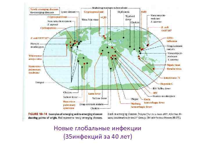 Новые глобальные инфекции (35 инфекций за 40 лет) 