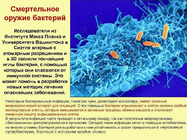 Смертельное оружие бактерий Исследователи из Института Макса Планка и Университета Вашингтона в Сиэтле впервые