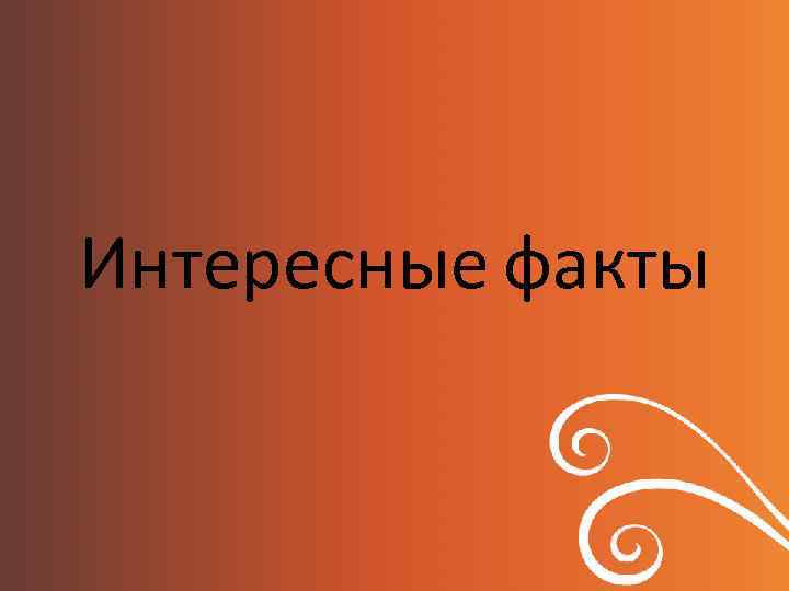 Интересные факты 
