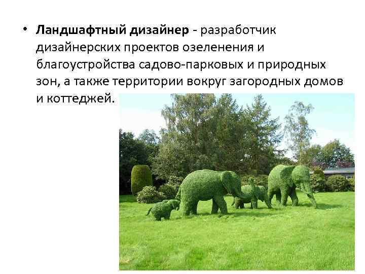  • Ландшафтный дизайнер - разработчик дизайнерских проектов озеленения и благоустройства садово-парковых и природных