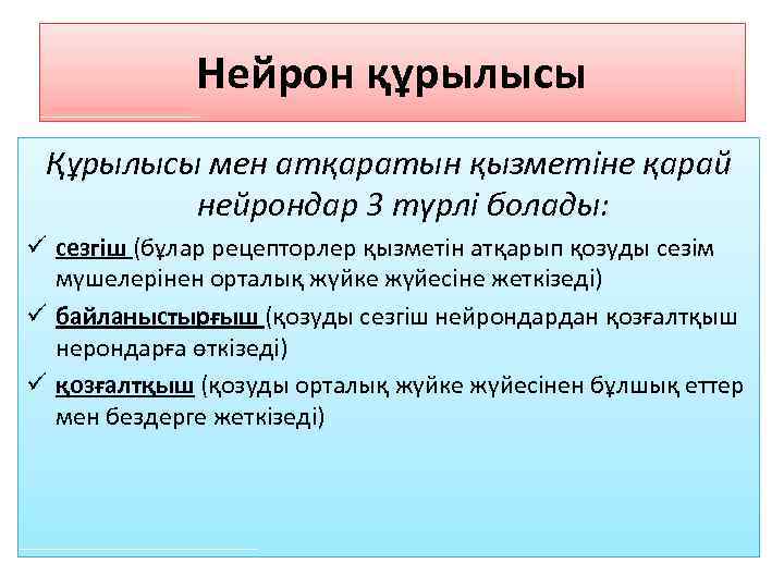 Нейрон құрылысы Құрылысы мен атқаратын қызметіне қарай нейрондар 3 түрлі болады: ü cезгіш (бұлар