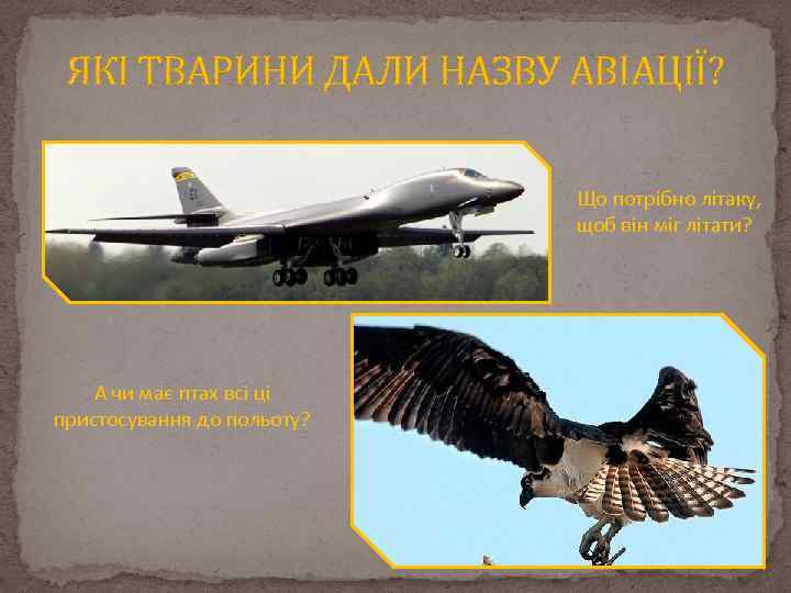 ЯКІ ТВАРИНИ ДАЛИ НАЗВУ АВІАЦІЇ? Що потрібно літаку, щоб він міг літати? А чи