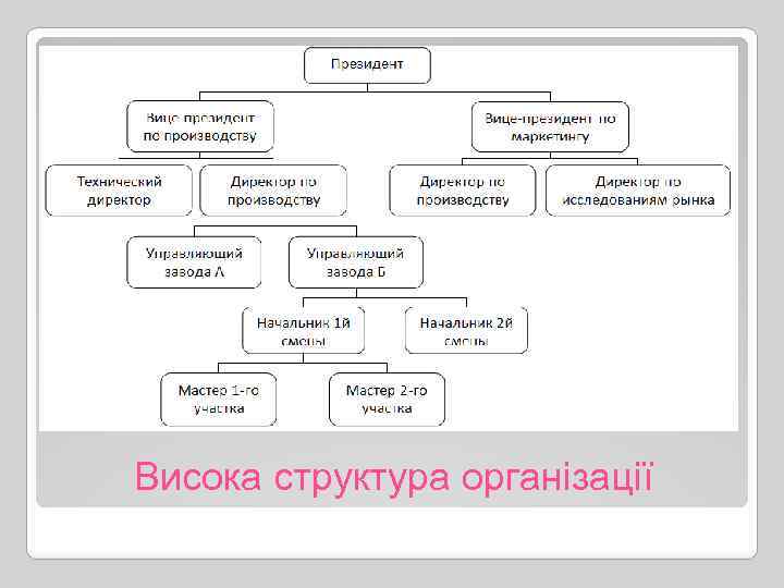 Висока структура організації 