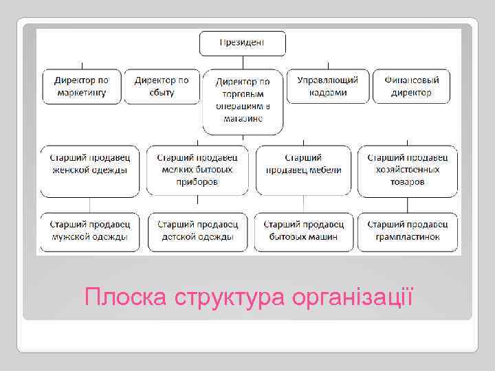 Плоска структура організації 