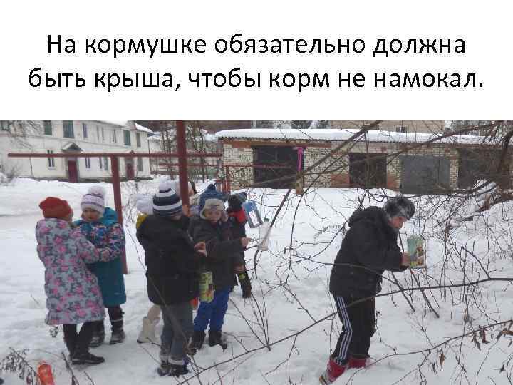 На кормушке обязательно должна быть крыша, чтобы корм не намокал. 