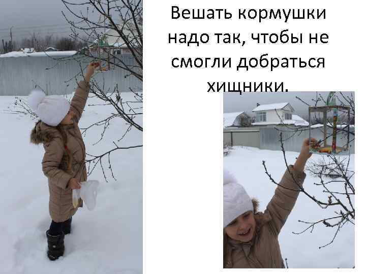 Вешать кормушки надо так, чтобы не смогли добраться хищники. 