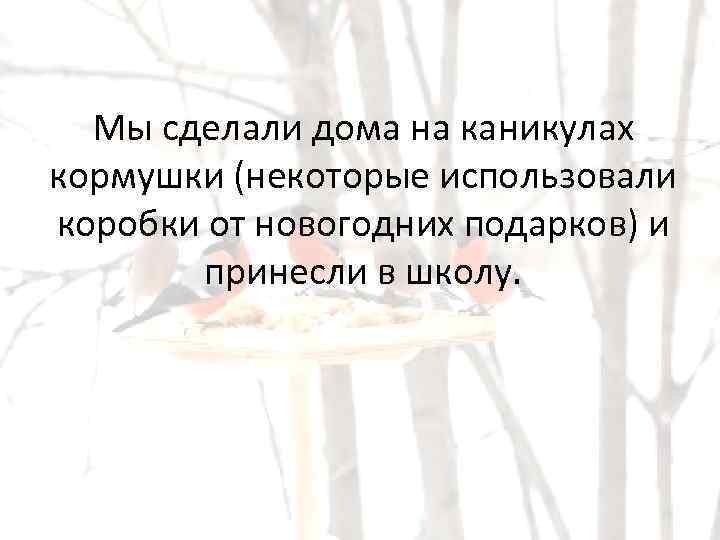 Мы сделали дома на каникулах кормушки (некоторые использовали коробки от новогодних подарков) и принесли