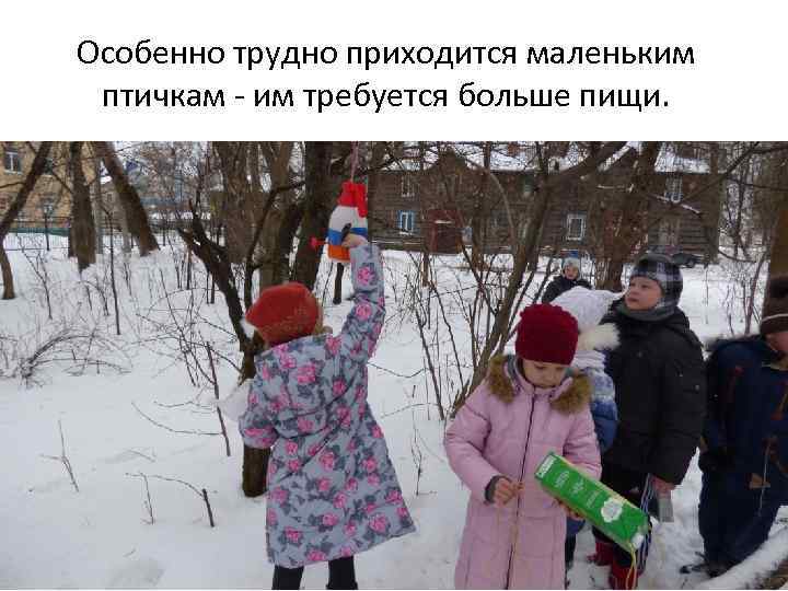 Особенно трудно приходится маленьким птичкам - им требуется больше пищи. 