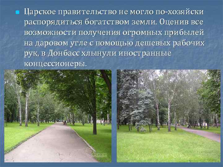 n Царское правительство не могло по-хозяйски распорядиться богатством земли. Оценив все возможности получения огромных
