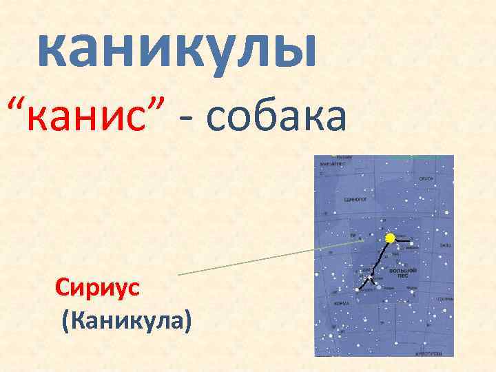 каникулы “канис” - собака Сириус (Каникула) 