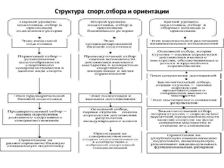 Структура спорт. отбора и ориентации 