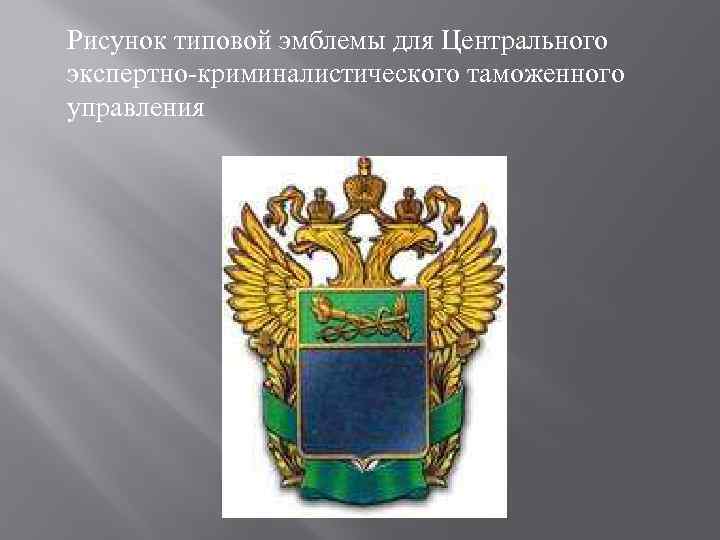 Рисунок типовой эмблемы для Центрального экспертно-криминалистического таможенного управления 