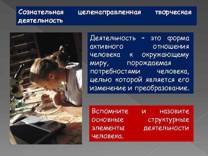 Сознательная деятельность целенаправленная творческая Деятельность – это форма активного отношения человека к окружающему миру,