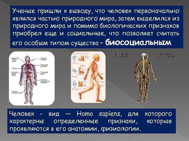 Ученые пришли к выводу, что человек первоначально являлся частью природного мира, затем выделился из