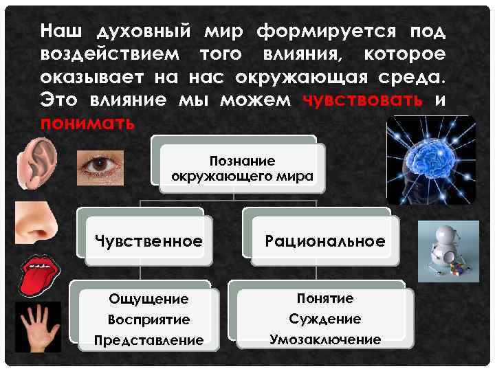 Наш духовный мир формируется под воздействием того влияния, которое оказывает на нас окружающая среда.