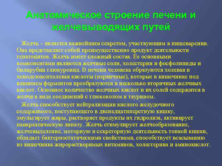 Анатомическое строение печени и желчевыводящих путей Желчь – является важнейшим секретом, участвующим в пищеварении.