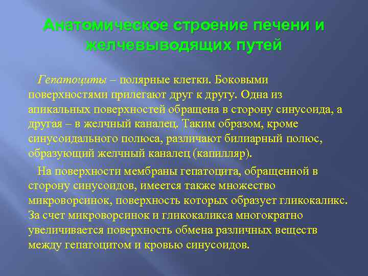 Анатомическое строение печени и желчевыводящих путей Гепатоциты – полярные клетки. Боковыми поверхностями прилегают друг