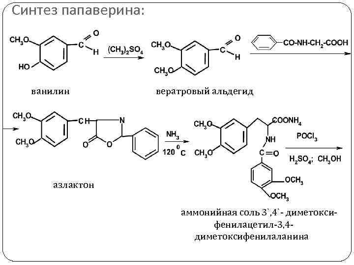 Синтез папаверина: ванилин вератровый альдегид азлактон аммонийная соль 3`, 4`- диметокси фенилацетил-3, 4 -