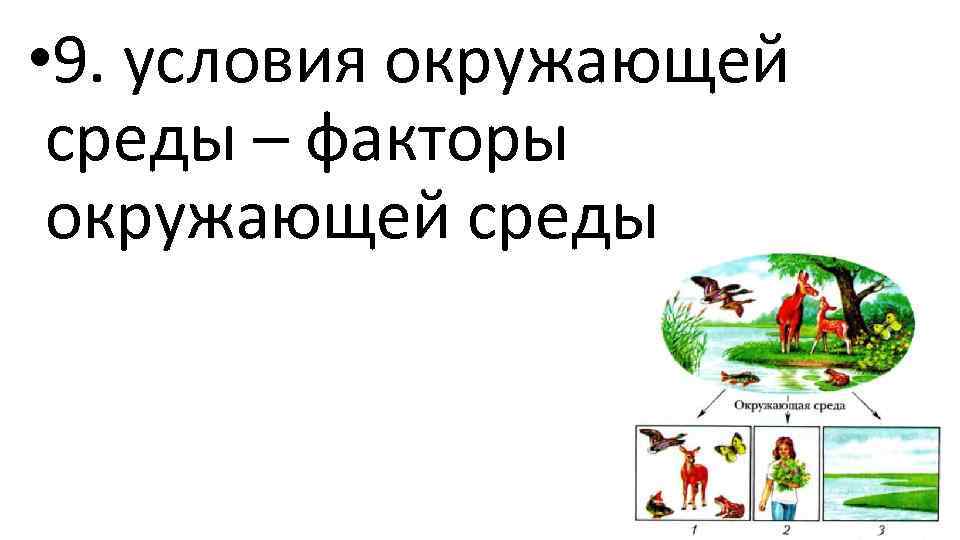  • 9. условия окружающей среды – факторы окружающей среды 