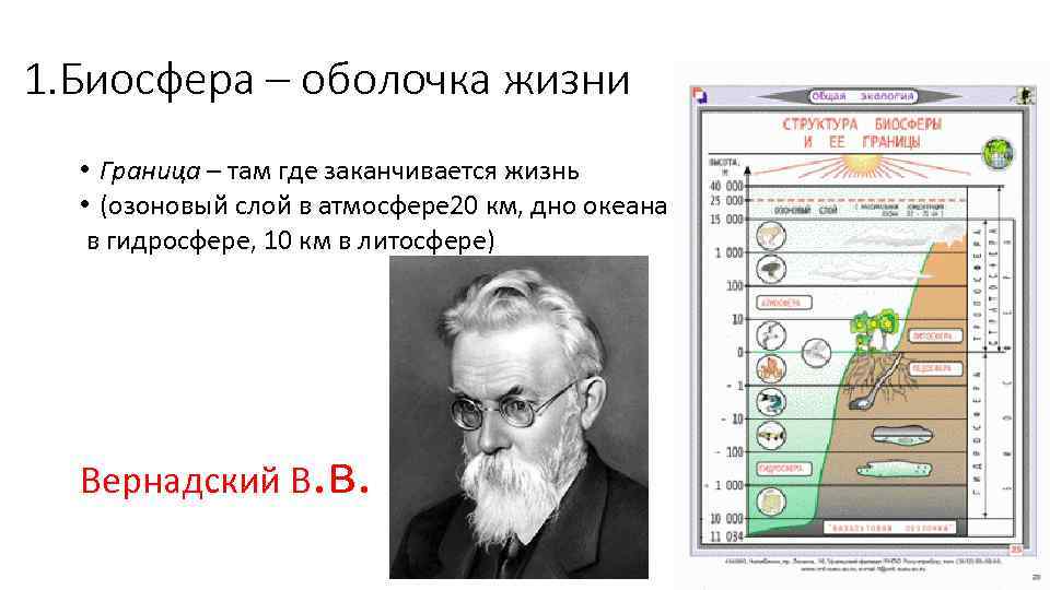Биосфера оболочка жизни 6 класс тест ответы. Биосфера оболочка жизни. Пленка жизни Биосфера. Пленки жизни по Вернадскому. Пленка жизни Вернадский.