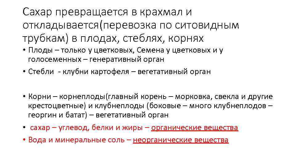 Сахар превращается в крахмал и откладывается(перевозка по ситовидным трубкам) в плодах, стеблях, корнях •