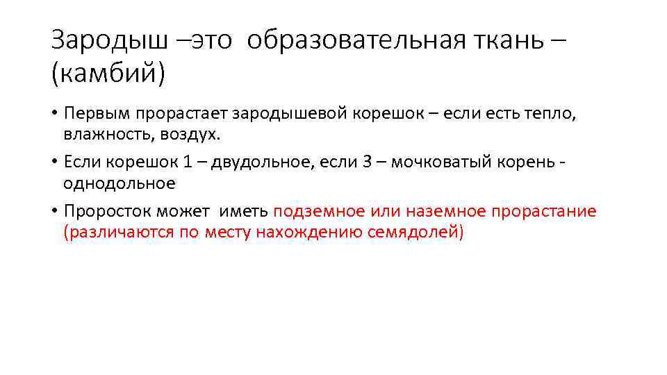 Зародыш –это образовательная ткань – (камбий) • Первым прорастает зародышевой корешок – если есть