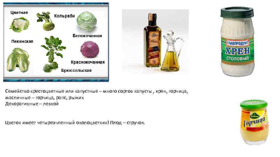 Семейство крестоцветные или капустные – много сортов капусты , хрен, горчица, масличные – горчица,