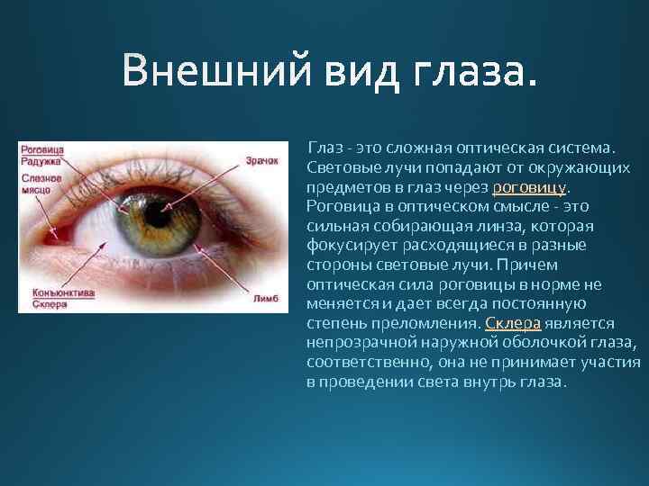 Глаз - это сложная оптическая система. Световые лучи попадают от окружающих предметов в глаз