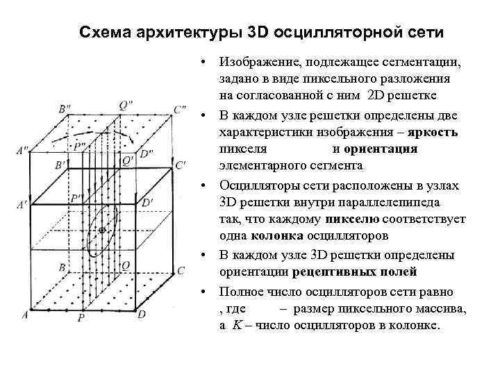 Схема архитектуры 3 D осцилляторной сети • Изображение, подлежащее сегментации, задано в виде пиксельного