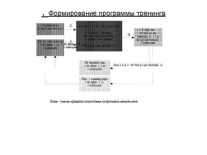 . Формирование программы тренинга Блок – схема процесса подготовки спортсмена-легкоатлета. 