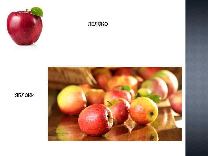 ЯБЛОКО ЯБЛОКИ 