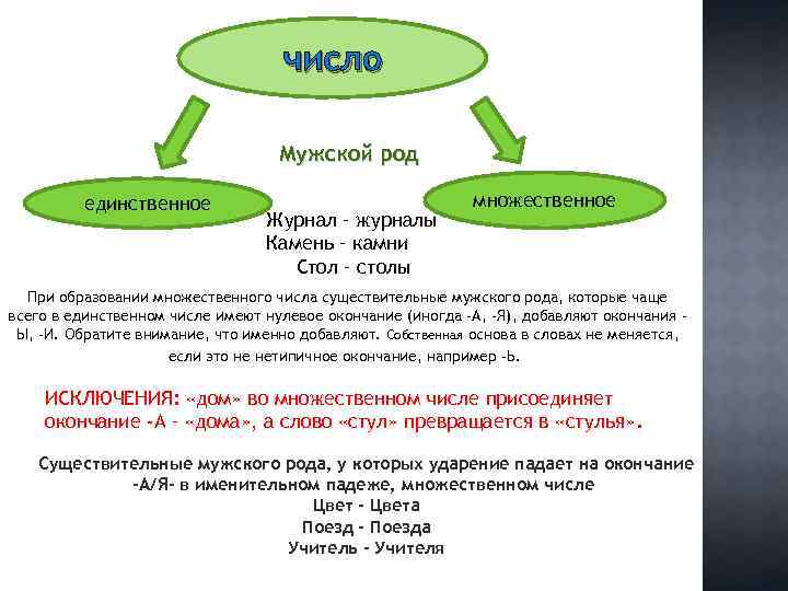 число Мужской род единственное Журнал – журналы Камень – камни Стол – столы множественное