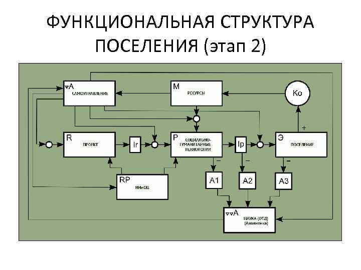 Функциональная структура системы. Структура поселения. Иерархия поселений. Поселенческая структура. Поселенческая подструктура.