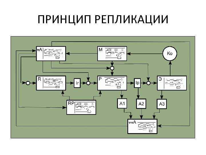 ПРИНЦИП РЕПЛИКАЦИИ 