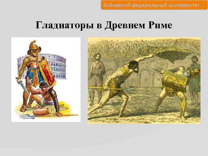 Сибирский федеральный университет Гладиаторы в Древнем Риме 