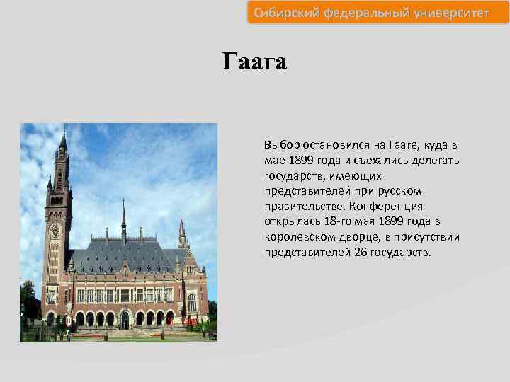 Сибирский федеральный университет Гаага Выбор остановился на Гааге, куда в мае 1899 года и