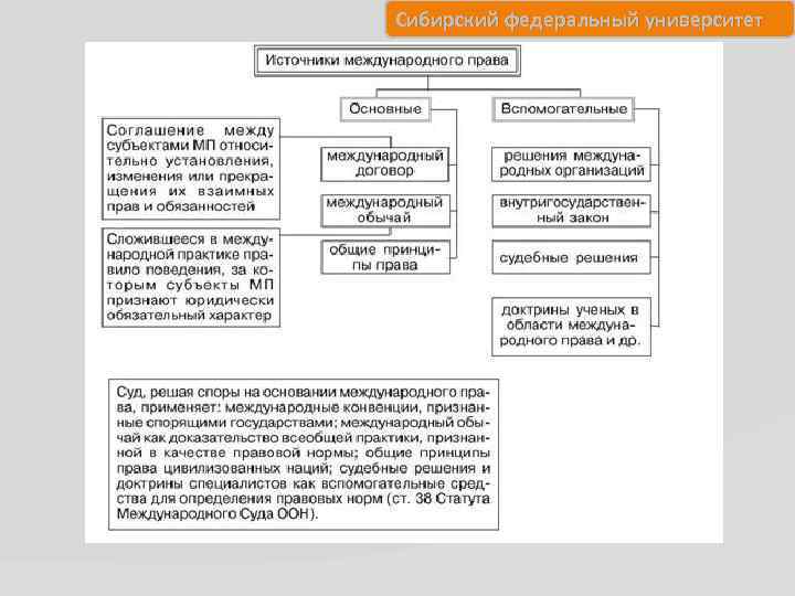 Сибирский федеральный университет 